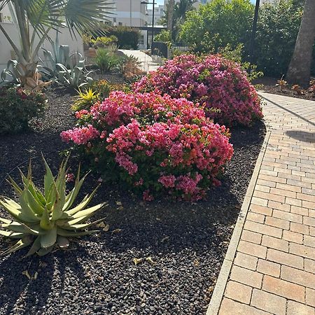 Beautiful Apartment Green Hills Orihuela Costa المظهر الخارجي الصورة